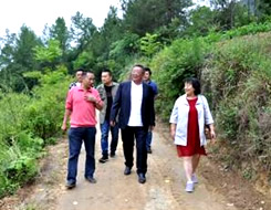 新濠天地·(中国区)官方网站